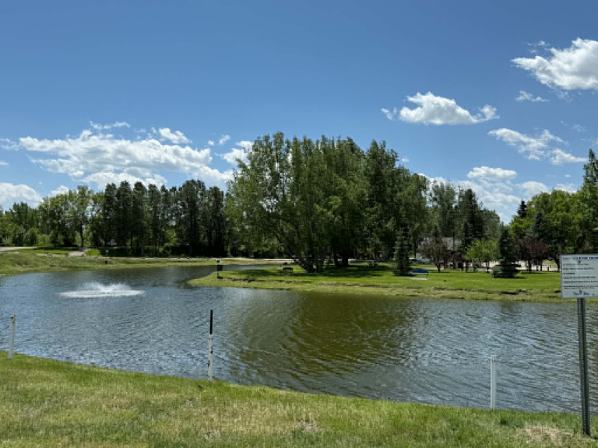 Fish Pond